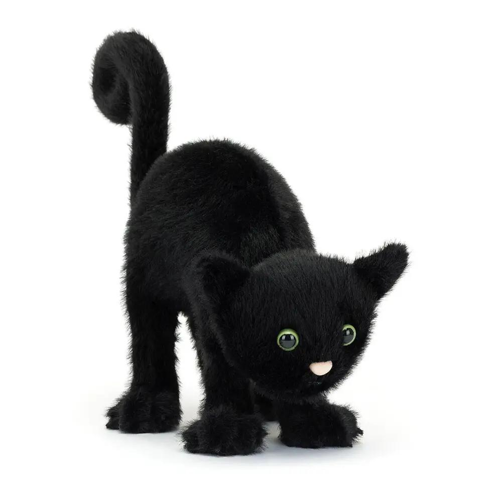 Spookipaws Cat